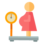 孕妇体重增长表